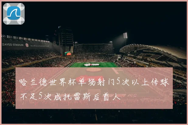 哈兰德世界杯单场射门5次以上传球不足5次成托雷斯后首人