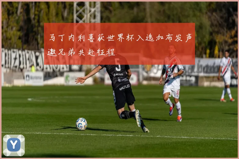 马丁内利喜获世界杯入选加布发声邀兄弟共赴征程